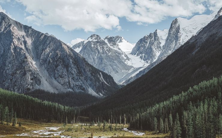 纯铁：从工业基石到现代应用的全面解析