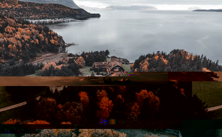 钢材期货实时行情走势图：市场波动与投资策略解析